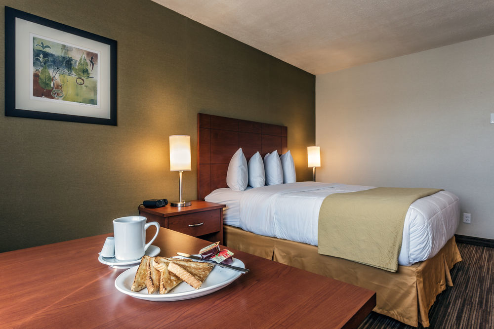 Quality & Hotel